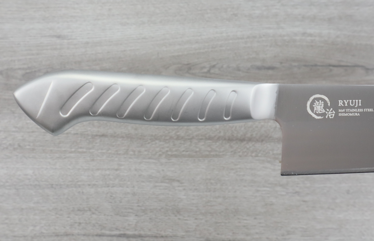 Ryuji All Stainless-Steel Gyuto (Chef Knife) 210mm